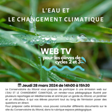 Web TV | L'eau et le changement climatique