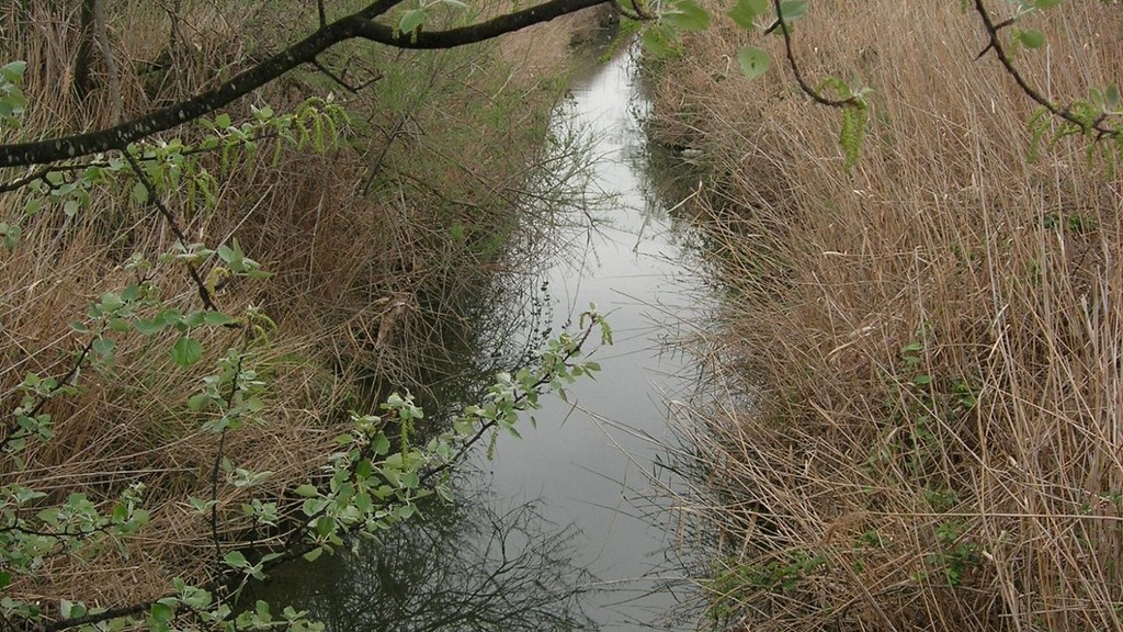Ruisseau le Vallat