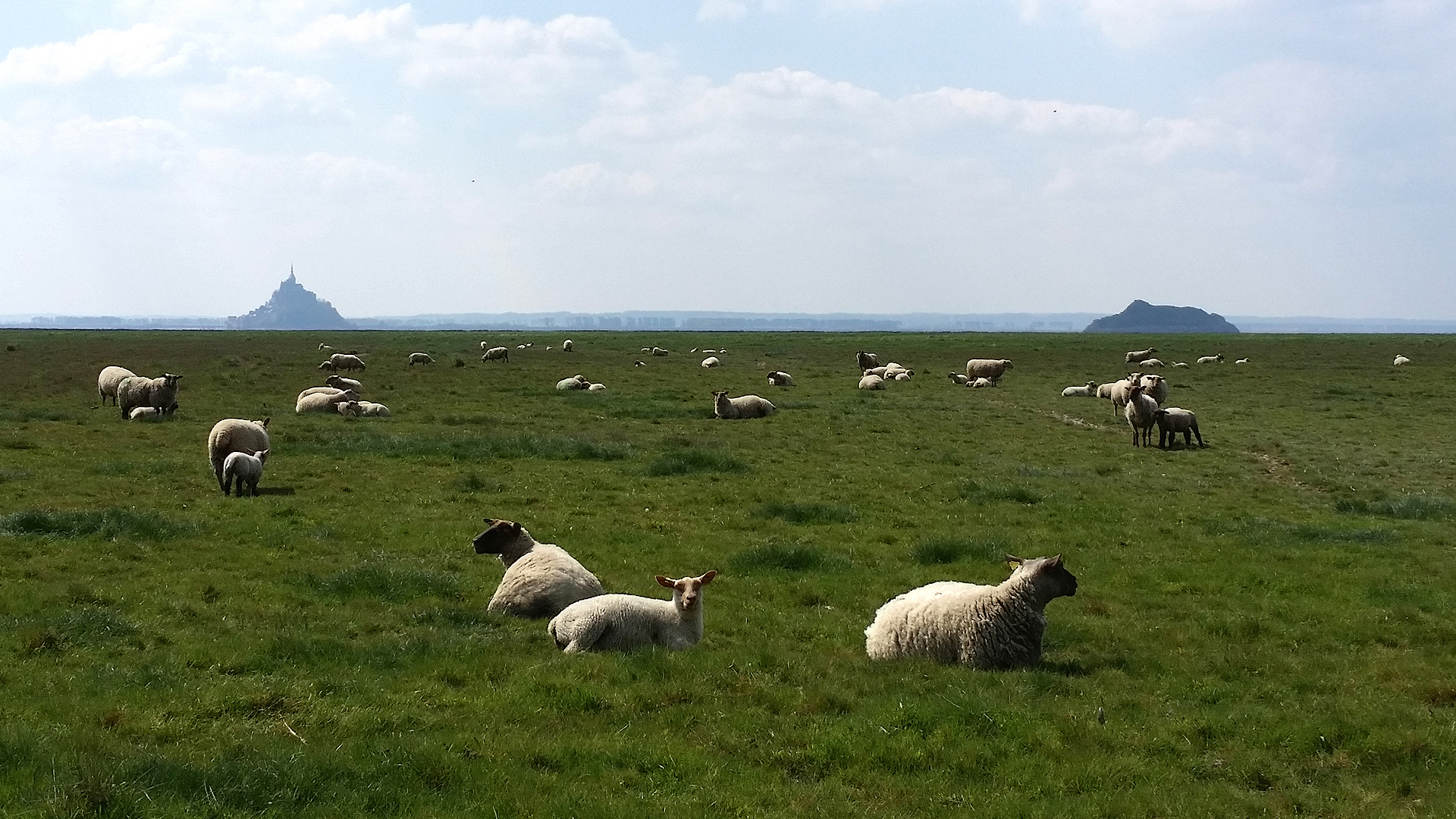 BAIE DU MONT SAINT MICHEL