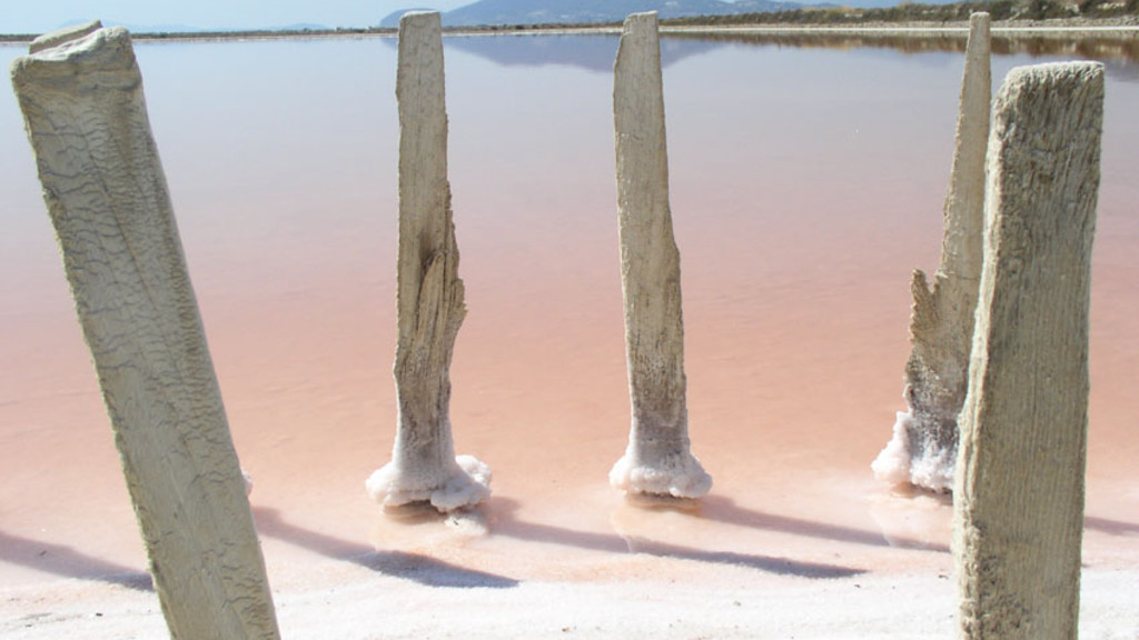 Paysages du sel bassins surélevés du Salin des Pesquiers 
