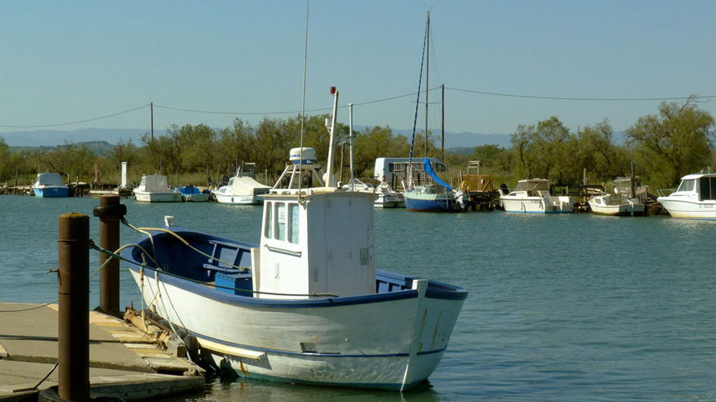 Cabane De Pêcheur étang De Thau à Vendre