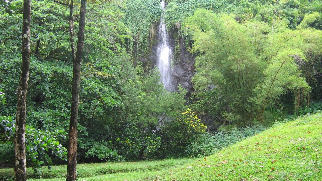 Sainte-Rose - Anse des cascades