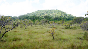 De la savane à la montagne, entre nature et agriculture, jusqu’à la pression urbaine cayennaise à Macouria.