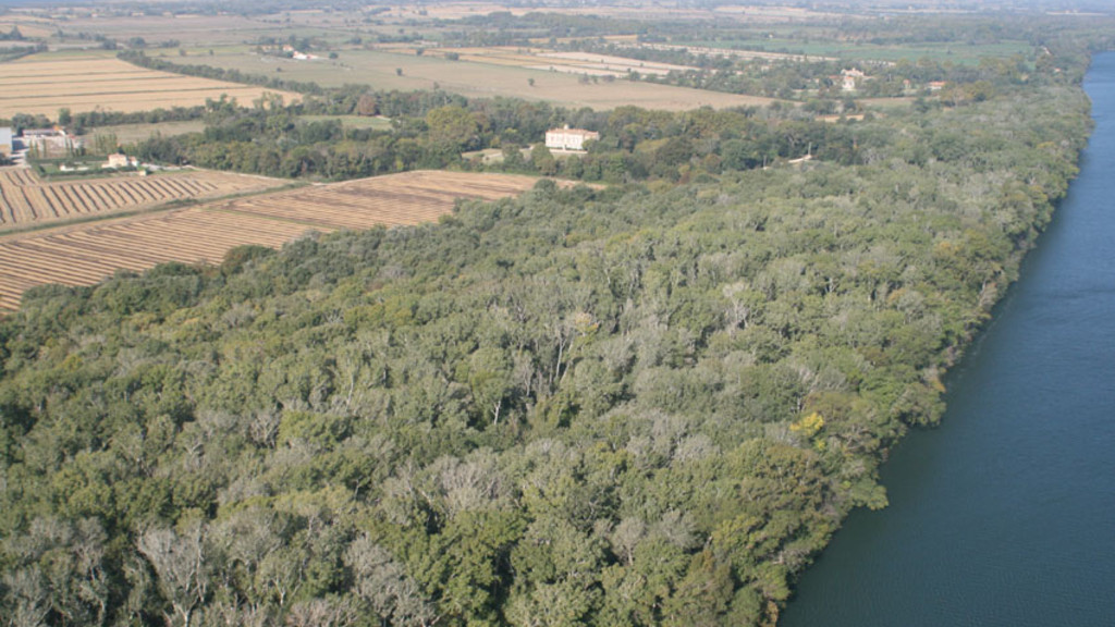 Bois de Tourtoulen - Vue aérienne