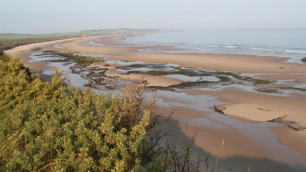 Dune d'Aval