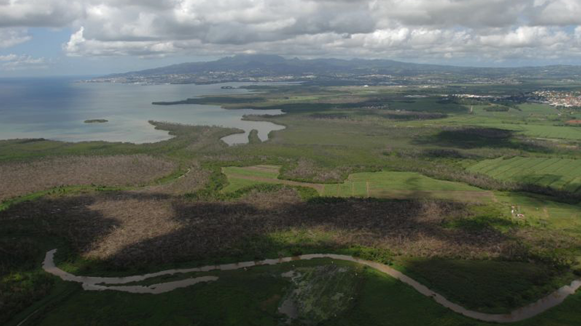 BAIE DE FORT DE FRANCE - MARTINIQUE