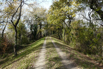 BOIS DE TOURTOULEN