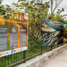 Exposition LITTORAL - 40 ans de merveilles préservées