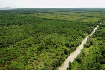 RIVE DROITE DE MAHURY