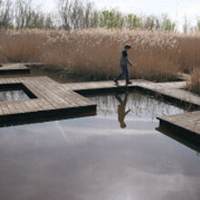 sentier Etourneau Vigueiray