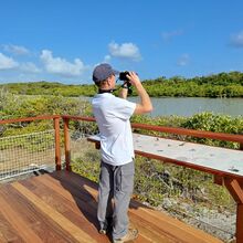 Un nouvel observatoire d'oiseaux à la pointe des Chateaux en Guadeloupe