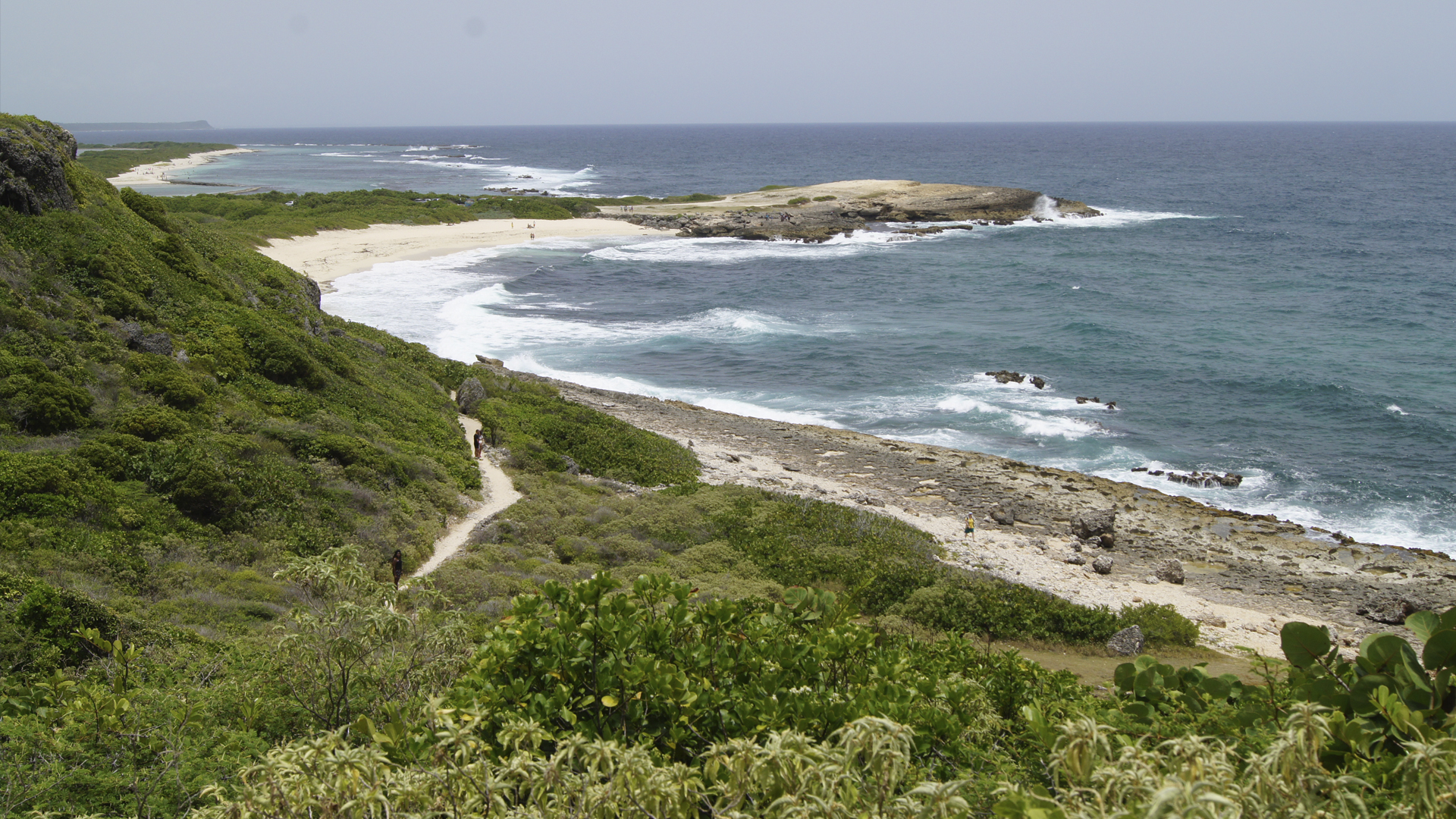 FALAISES ATLANTIQUES - GUADELOUPE