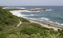 FALAISES ATLANTIQUES - GUADELOUPE