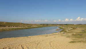 Le Havre de la Gachère, le massif dunaire boisé et le marais d’Olonne