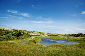 DUNES DU FORT MAHON