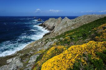 POINTE DU RAZ