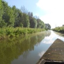 Plan de relance Marais Audomarois