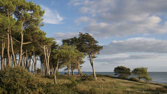 La pointe de Keryondre. 