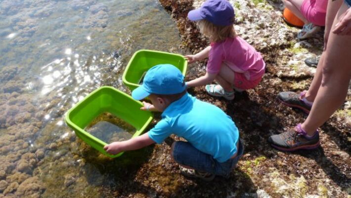activités rayol les pieds dans l'eau