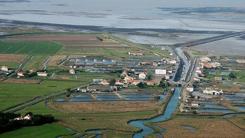 La baie de Bourgneuf, un littoral agricole, ostréicole et de pêche