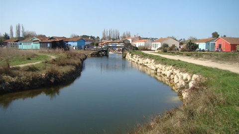 De la pointe de Gatseau à celle de Chassiron, à l’est, une côte ostréicole et des paysages en continuité avec ceux du continent