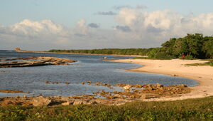 Un rivage sauvage, entrecoupé d’anses de sable blanc et de forêts littorales.
