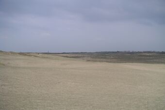 DUNES DU JAUNAY ET DE LA SAUZAIE