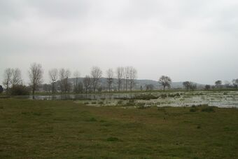 MARAIS DE VILLERS - BLONVILLE