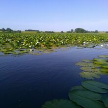 etang_des_landres