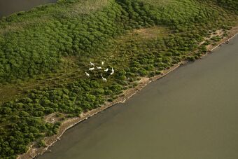 ETANG DU MEJEAN