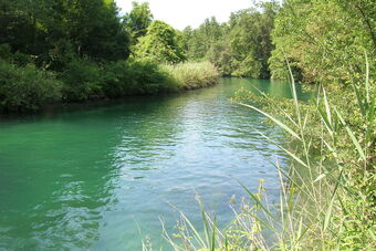 MARAIS DE CHAUTAGNE