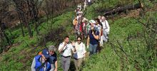 Inauguration de la réouverture du sentier du littoral suite aux incendies de juillet 2017