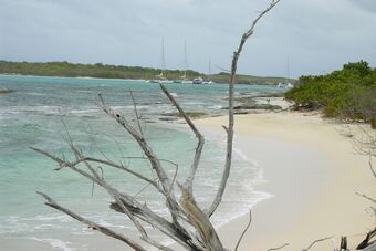 ILES DE LA PETITE TERRE