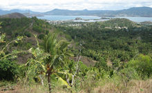 LITTORAL DE PETITE TERRE - MAYOTTE