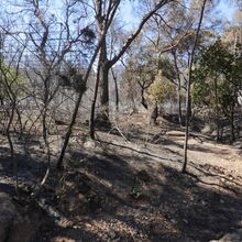 Incendie au Domaine de l'Ermitage à La Coudoullière