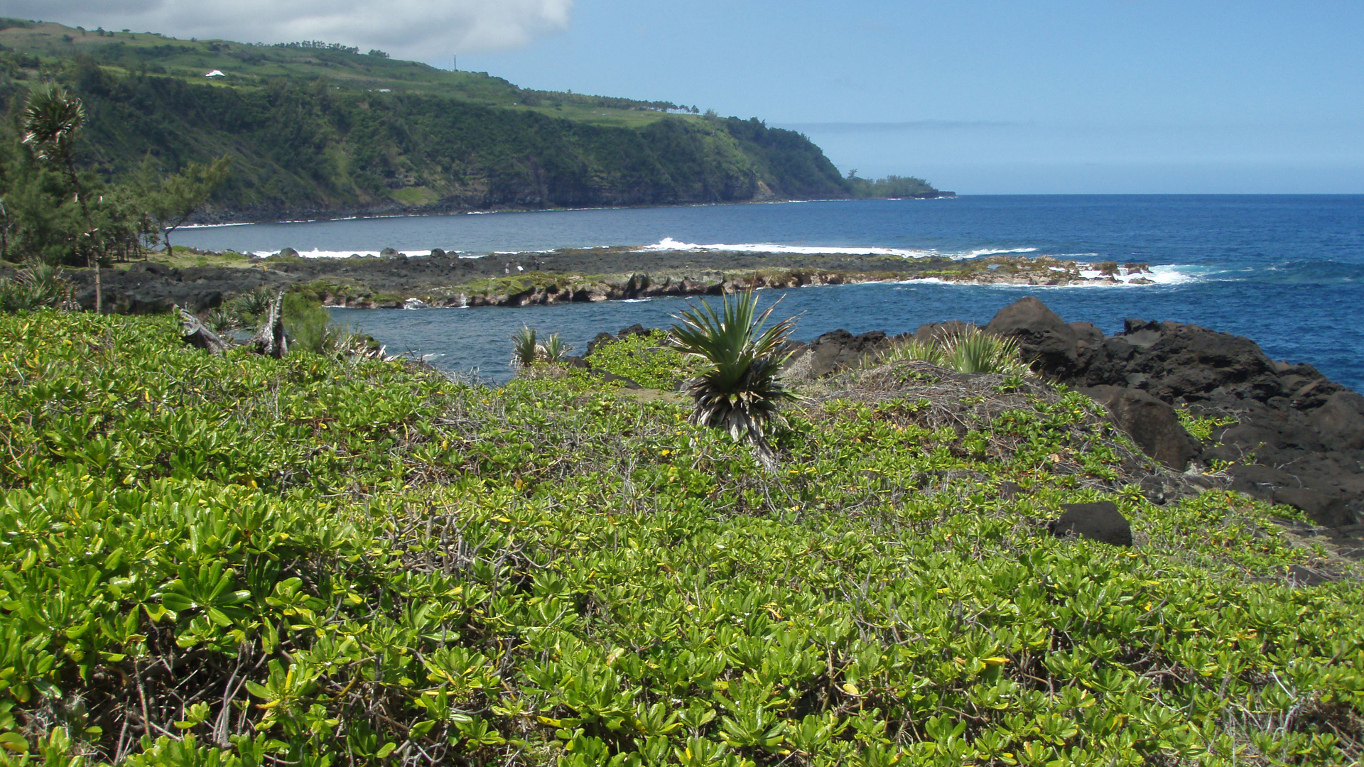 LITTORAL DU SUD DE SAINT-PIERRE - LA REUNION