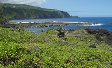 LITTORAL DU SUD DE SAINT-PIERRE - LA REUNION