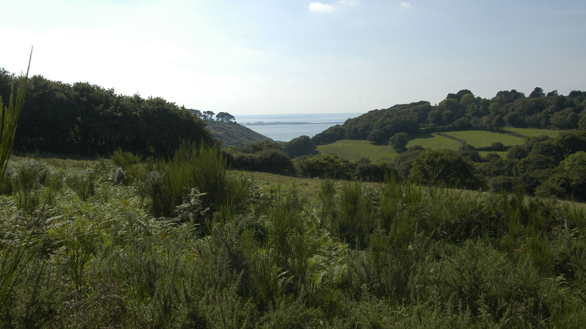 BAIE DE LANNION PETIT TREGOR