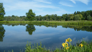 La moyenne vallée de la Somme