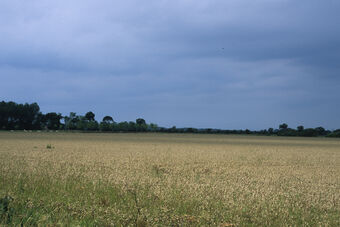 BAIE D'AUTHIE RIVE SUD