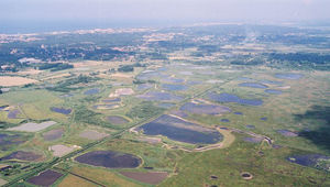 Les bas-champs et marais arrière littoraux