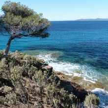 rayol biodiversité