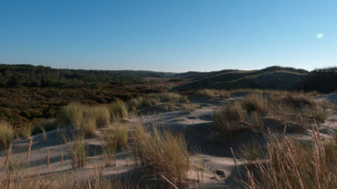 Entre Soulac-sur-Mer et Hourtin-Plage, une séquence paysagère annonçant l’estuaire de la Gironde