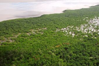 PISTE DE L'ANSE