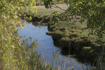 MARAIS POITEVIN - ESTUAIRE SEVRE NIORTAISE