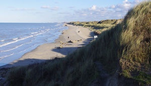 De la frontière Belge à Dunkerque : les dunes Flamandes sculptées par le vent