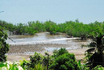 BAIE DE BOUENI