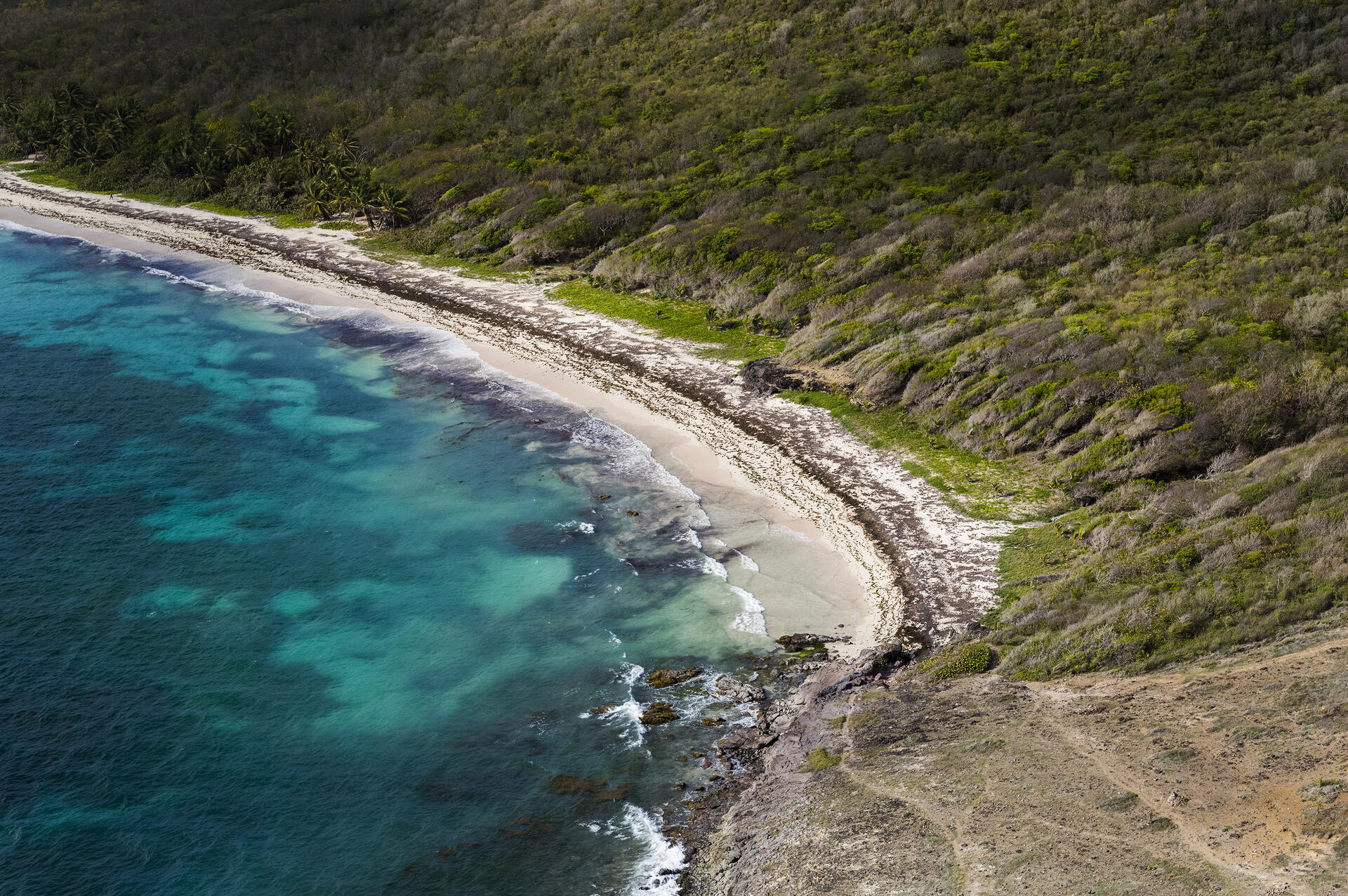 COTE ATLANTIQUE SUD ET ILETS - MARTINIQUE