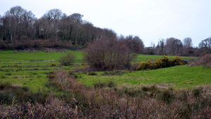 Des enclaves naturelles : les vallées et les landes du Cotentin rural