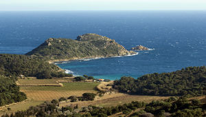 Presqu’île de Saint-Tropez : nature et villégiature de standing en forêt